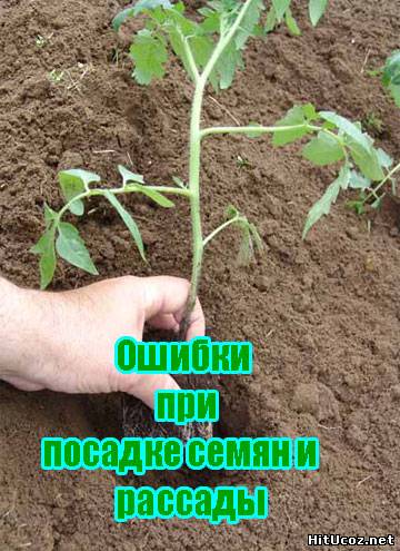 Нажми на фото для увеличения изоброжения