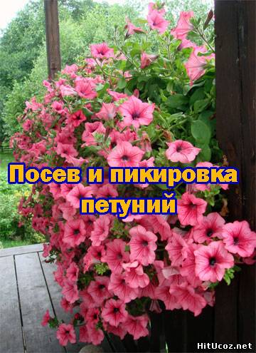 Нажми на фото для увеличения изоброжения