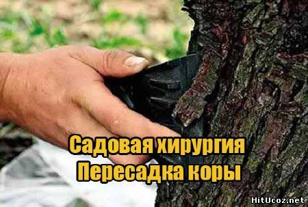 Нажми на фото для увеличения изоброжения