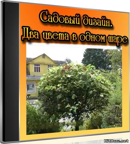 Нажми на фото для увеличения изоброжения