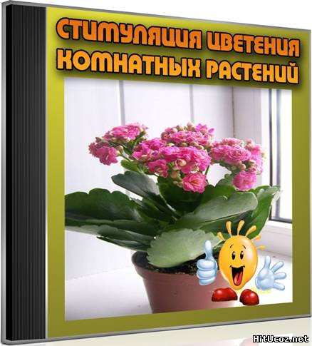 Нажми на фото для увеличения изоброжения