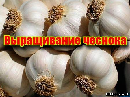 Нажми на фото для увеличения изоброжения