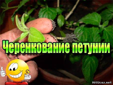 Нажми на фото для увеличения изоброжения