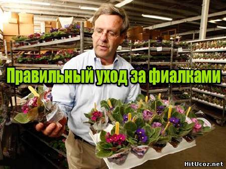 Нажми на фото для увеличения изоброжения