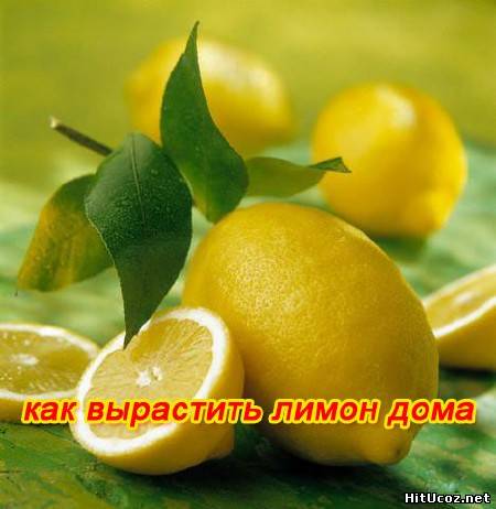Нажми на фото для увеличения изоброжения